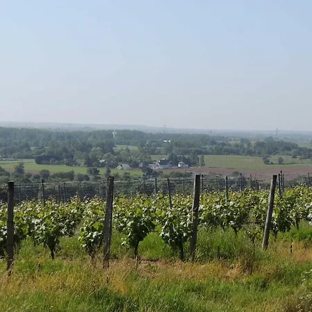 Moulin De La Placette