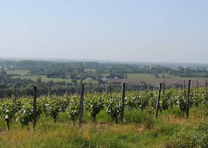 Moulin De La Placette